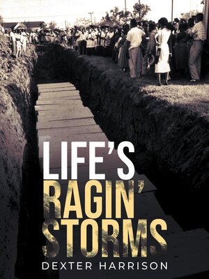 cover image of Life's Ragin' Storms
